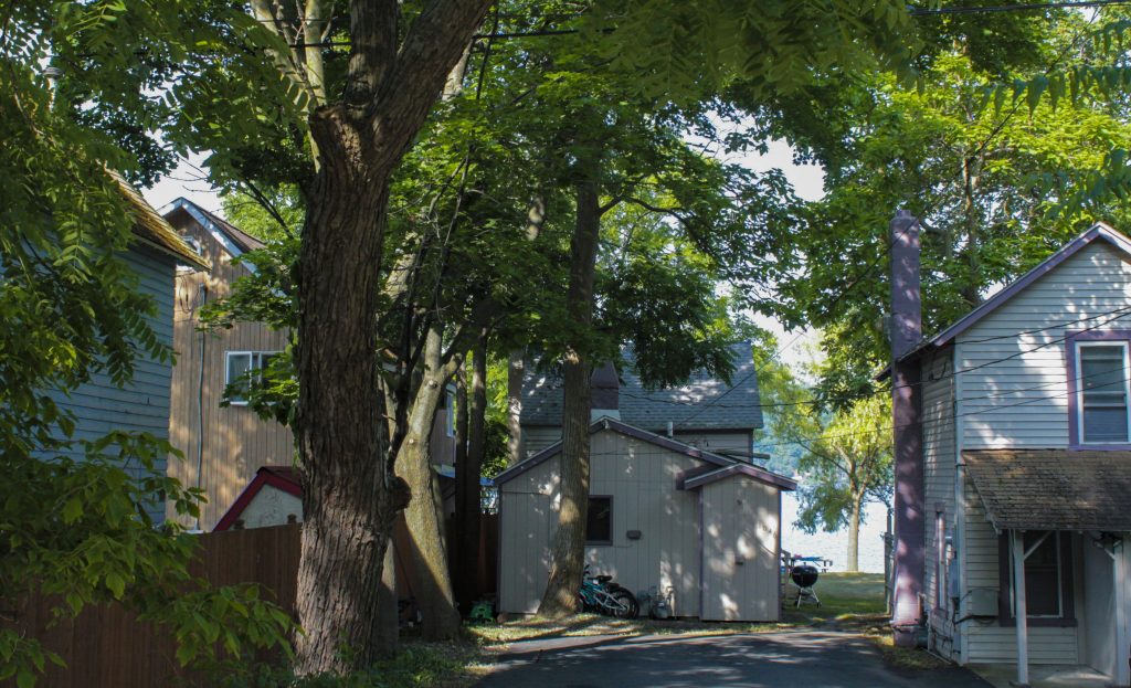 East Shore Drive Apartments CSP Management